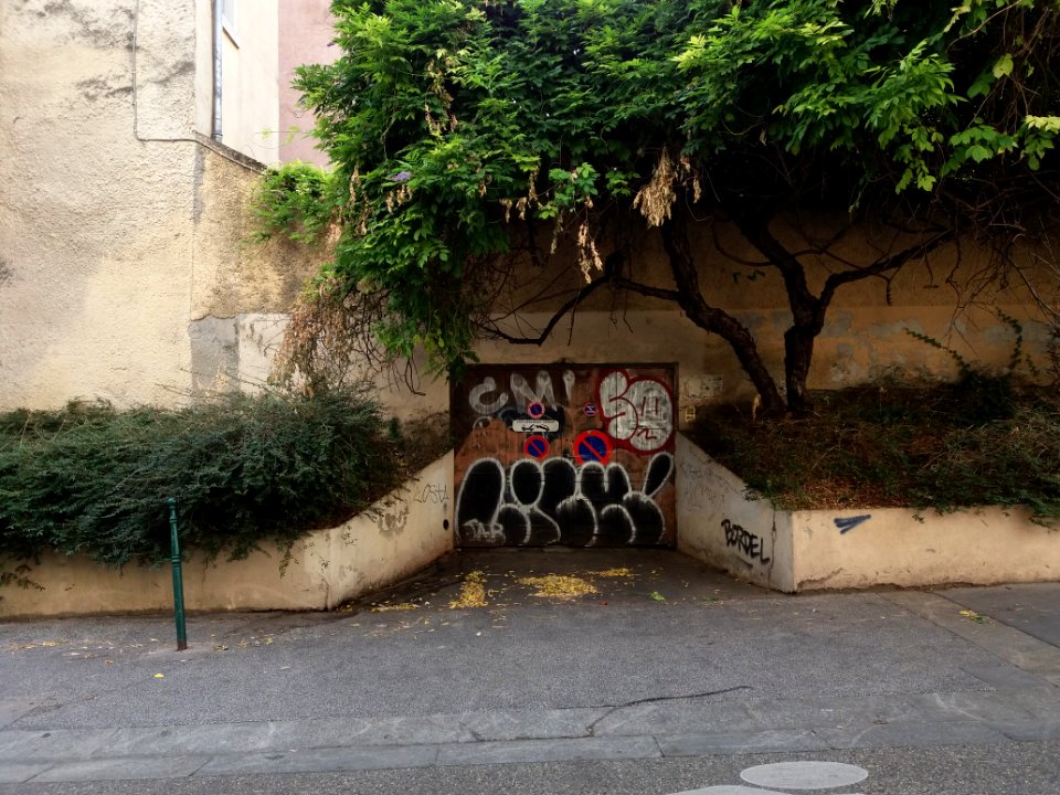 Lyon 4e - Rue Rosset, porte de garage sous un arbre