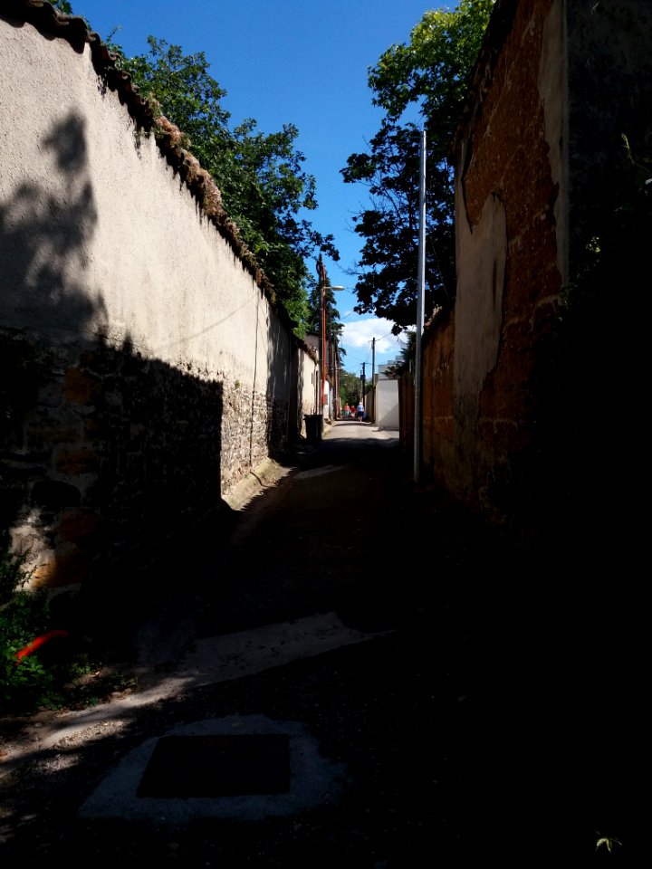 Lyon 4e - Rue du Bois de la Caille, depuis le Bois de la Caille, vers la rue Hermann Sabran