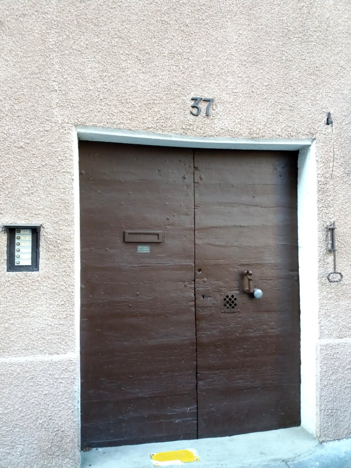 Lyon 4e - Rue Henry Gorjus - Porte au numéro 37