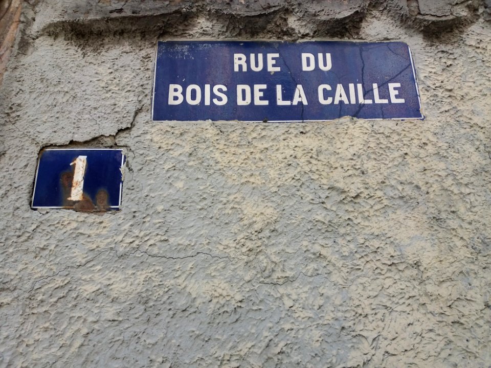 Lyon 4e - Rue du Bois de la Caille, plaque et numéro 1