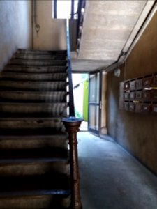 Lyon 4e - Rue Dumont d'Urville, escalier au numéro 1