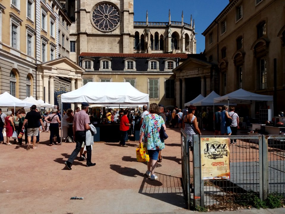 Lyon 5e - Avenue Adolphe Max, Les Tupiniers du Vieux Lyon 2019 (1)