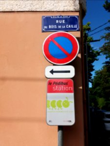Lyon 4e - Rue du Bois de la Caille, plaque, panneau et Pédibus