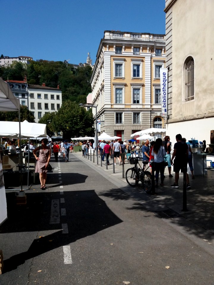 Lyon 5e - Avenue Adolphe Max, Les Tupiniers du Vieux Lyon 2019 (2)