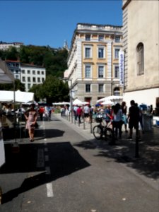 Lyon 5e - Avenue Adolphe Max, Les Tupiniers du Vieux Lyon 2019 (2)