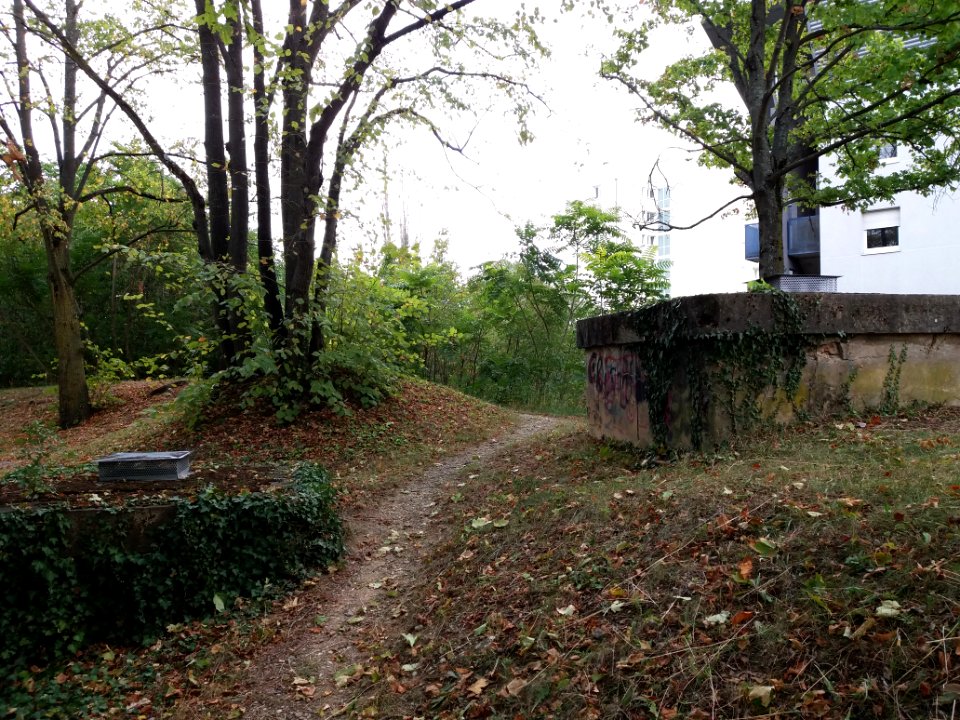 Lyon 5e - Fort Saint Irénée (15)