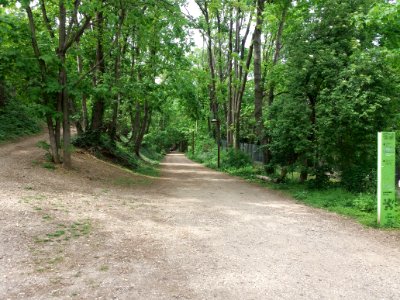 Lyon 5e - Chemin de la Demi-Lune 03
