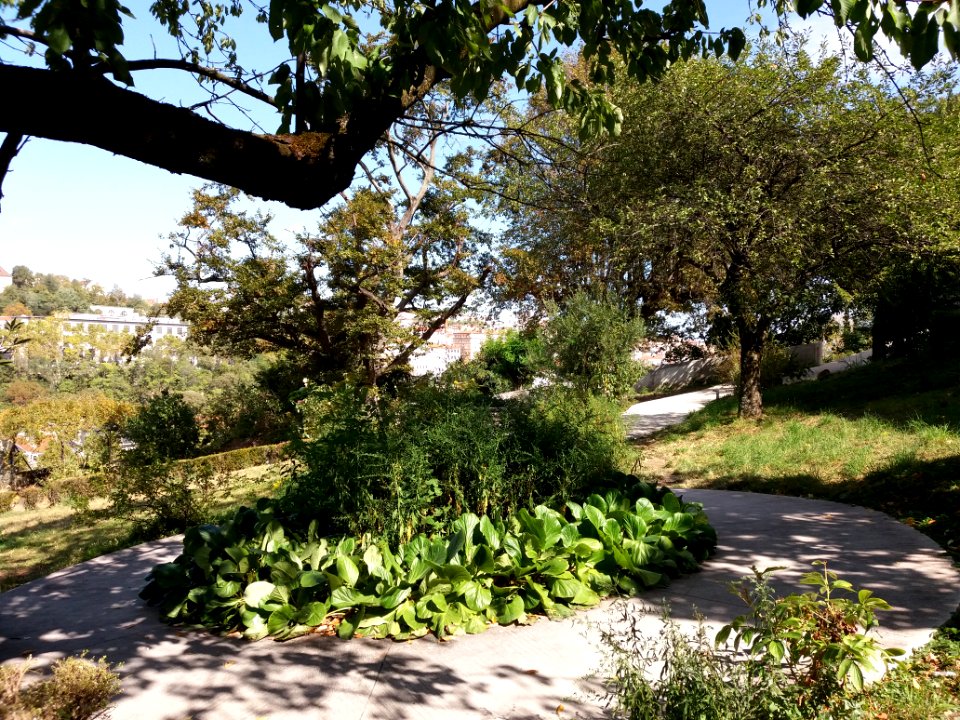 Lyon 5e - Chemin de Montauban - Couvent des Carmes déchaussés, jardins (15)