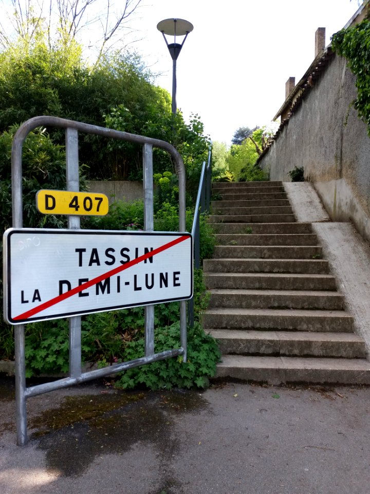 Lyon 5e - Avenue Barthélémy Buyer - Escalier d'accès au chemin de la Demi-Lune