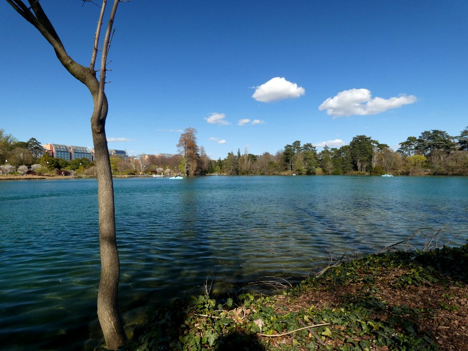 Lyon 6e - Parc de la Tête d'Or - Lac - Partie nord, depuis l'Île du Souvenir