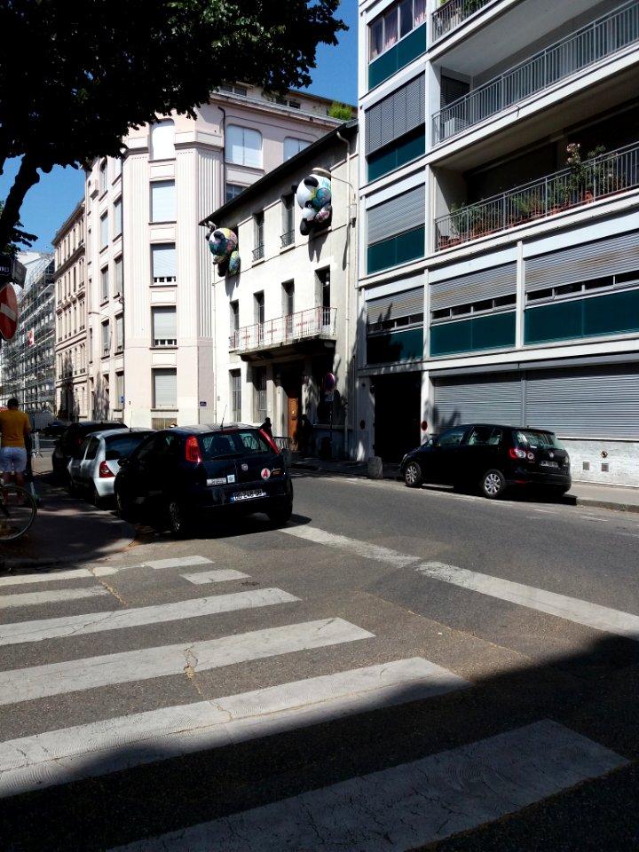 Lyon 6e - Rue de Créqui, Zoo Art Show 2, bâtiment au numéro 61 (1)