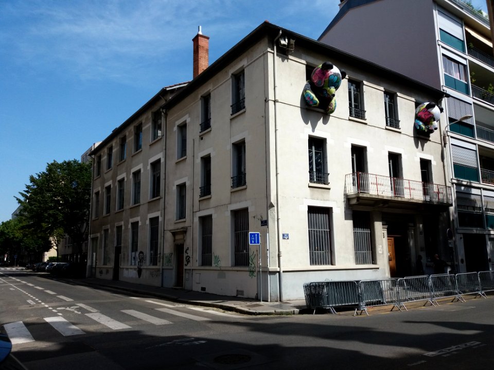 Lyon 6e - Rue de Créqui, Zoo Art Show 2, bâtiment au numéro 61 (2)