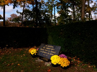 Lyon 6e - Parc de la Tête d'Or - Allée du Souvenir Français, lendemain de la commémoration du 11 novembre en 2019 (07)