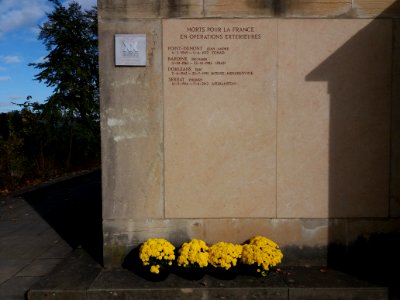Lyon 6e - Parc de la Tête d'Or - Allée du Souvenir Français, lendemain de la commémoration du 11 novembre en 2019 (02)