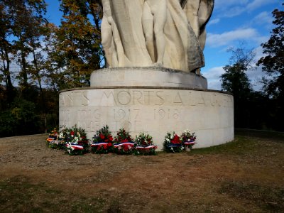Lyon 6e - Parc de la Tête d'Or - Allée du Souvenir Français, lendemain de la commémoration du 11 novembre en 2019 (05)
