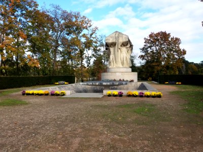 Lyon 6e - Parc de la Tête d'Or - Allée du Souvenir Français, lendemain de la commémoration du 11 novembre en 2019 (03)