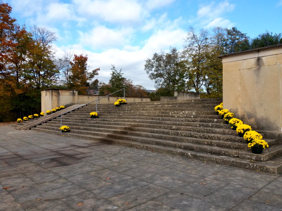 Lyon 6e - Parc de la Tête d'Or - Allée du Souvenir Français, lendemain de la commémoration du 11 novembre en 2019 (11)