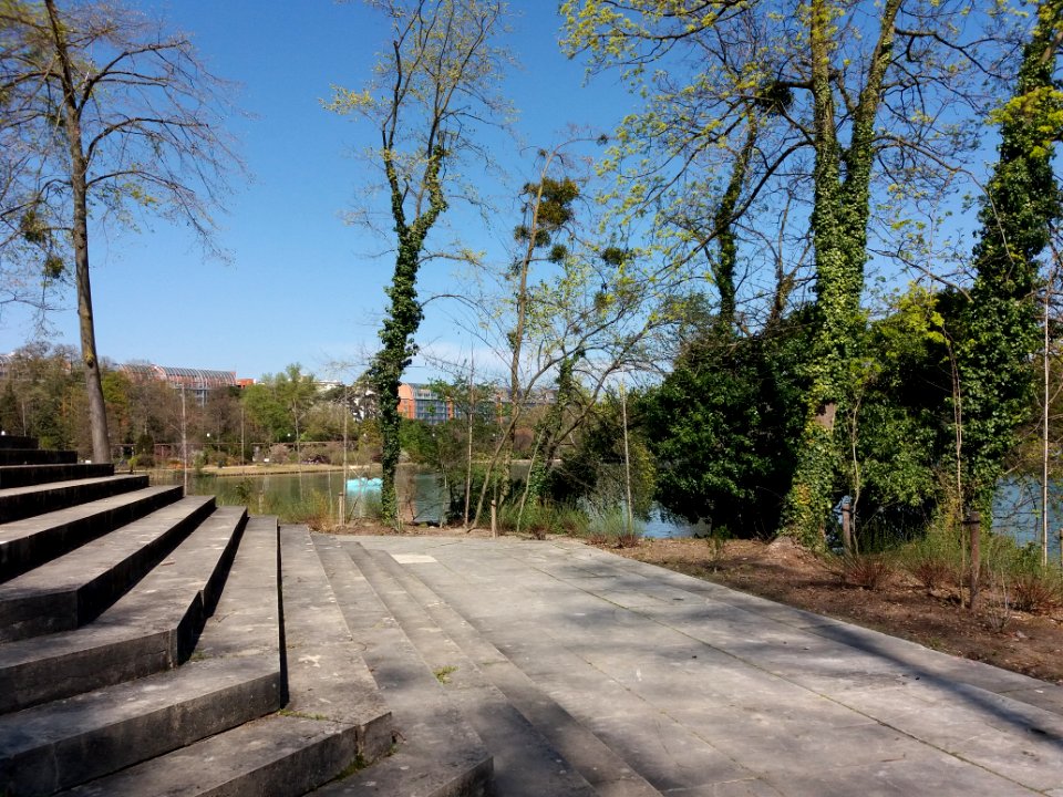 Lyon 6e - Parc de la Tête d'Or, allée du Souvenir Français, côté nord