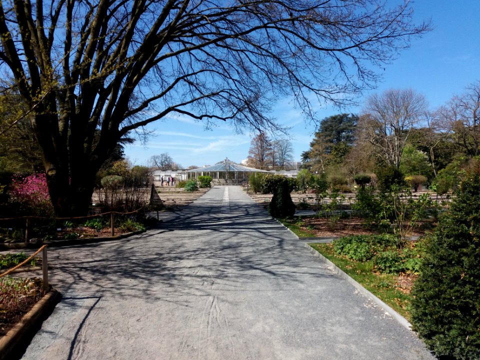 Lyon 6e - Parc de la Tête d'Or, jardin botanique, allée menant de l'orangerie à la serre ronde