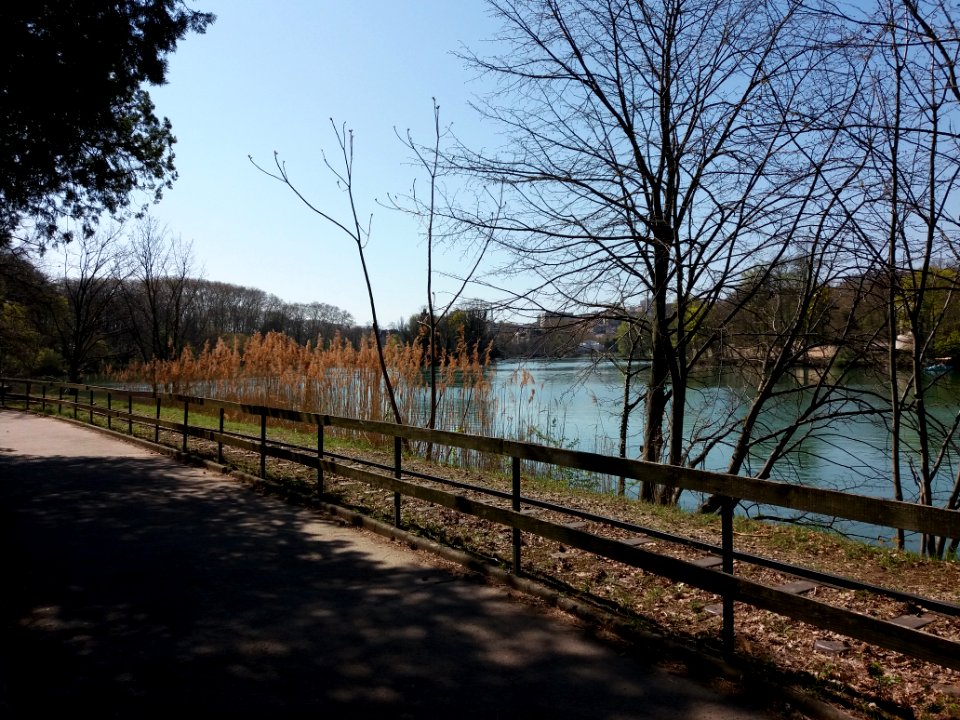 Lyon 6e - Parc de la Tête d'Or, allée de Belle Vue (4)