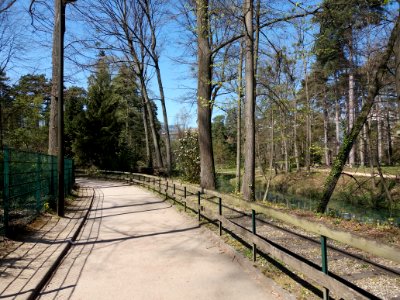 Lyon 6e - Parc de la Tête d'Or, allée de Belle Vue (2)