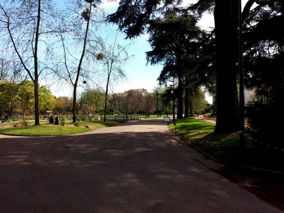 Lyon 6e - Parc de la Tête d'Or, allée de la Tête d'Or, depuis l'allée de Ceinture
