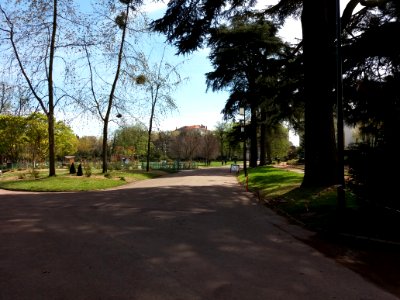 Lyon 6e - Parc de la Tête d'Or, allée de la Tête d'Or, depuis l'allée de Ceinture