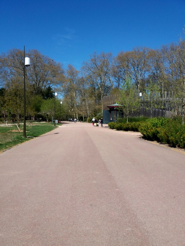 Lyon 6e - Parc de la Tête d'Or, allée du Parc aux Daims, côté nord en arrivant allée de la Volière