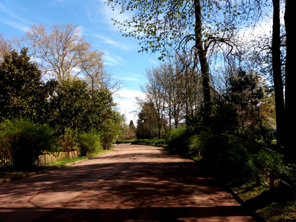 Lyon 6e - Parc de la Tête d'Or, allée du Fleuriste, depuis l'allée du Parc aux Daims