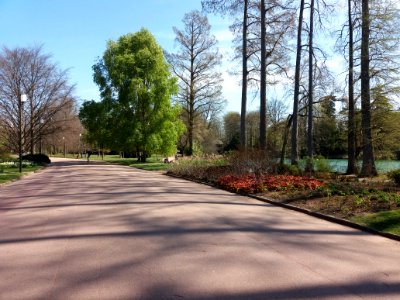 Lyon 6e - Parc de la Tête d'Or, allée du Lac, côté nord