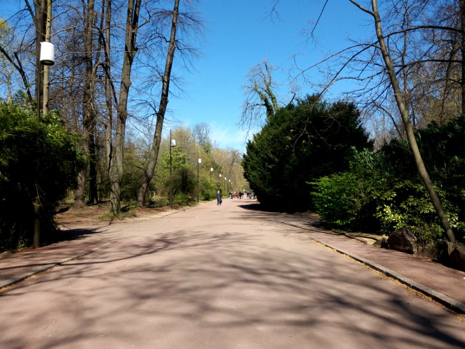 Lyon 6e - Parc de la Tête d'Or, allée de l'Orangerie