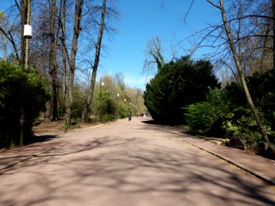 Lyon 6e - Parc de la Tête d'Or, allée de l'Orangerie