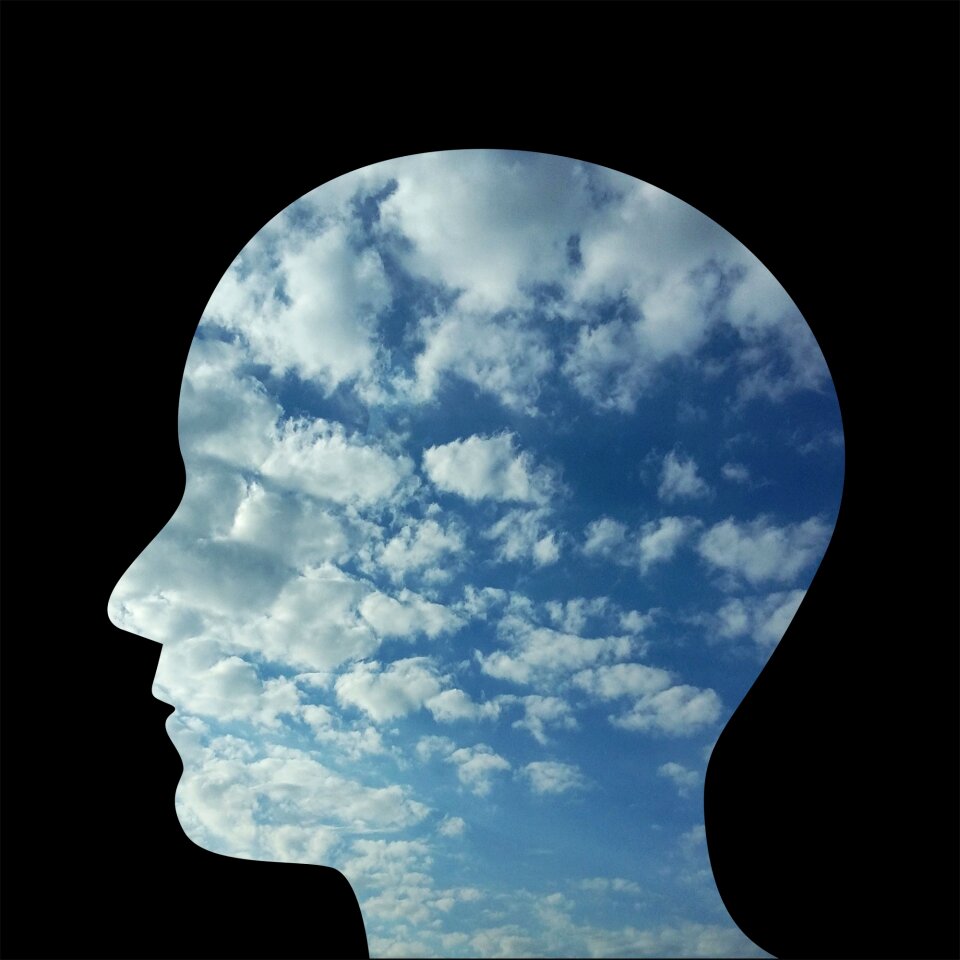 People face profile