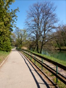Lyon 6e - Parc de la Tête d'Or, allée de Belle Vue (5)