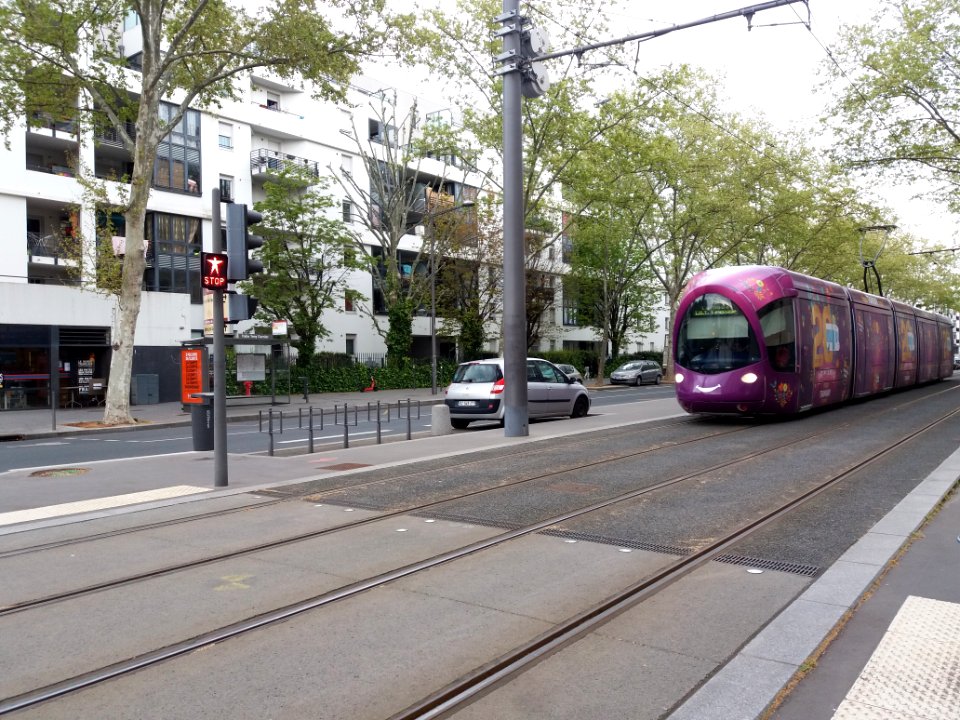 Lyon 7e - Avenue Debourg - Tramway T1 - Rame aux couleurs des 20 ans du tramway à Lyon (1)