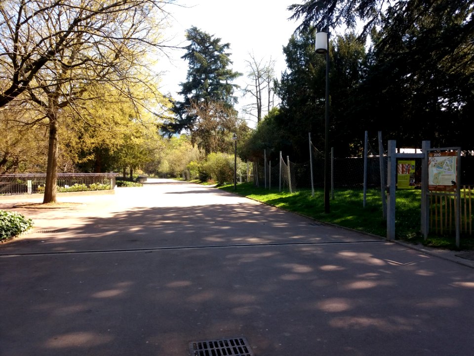 Lyon 6e - Parc de la Tête d'Or, allée de la Volière, côté est au niveau de l'allée du Pré Fleuri