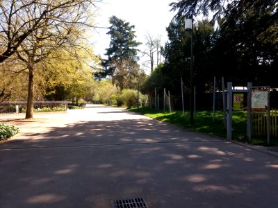 Lyon 6e - Parc de la Tête d'Or, allée de la Volière, côté est au niveau de l'allée du Pré Fleuri
