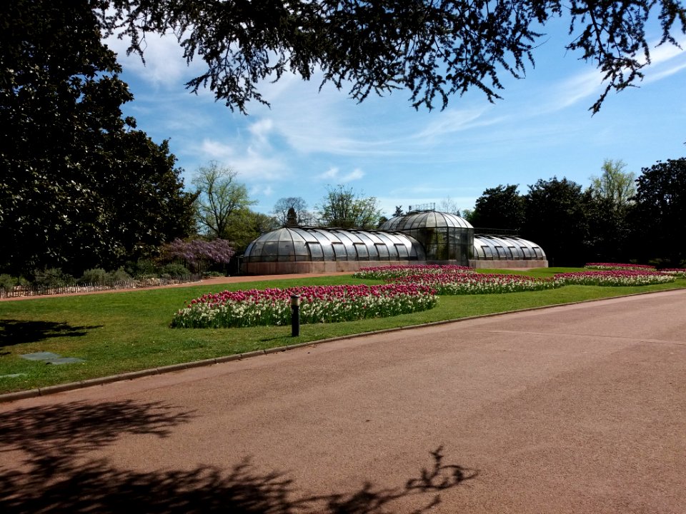 Lyon 6e - Parc de la Tête d'Or, allée du Pré Fleuri, serres