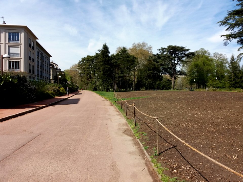 Lyon 6e - Parc de la Tête d'Or, allée des Villas, depuis l'allée de la Tête d'Or