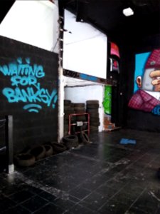Lyon 6e - Rue de Créqui, Zoo Art Show 2, Waiting for Banksy
