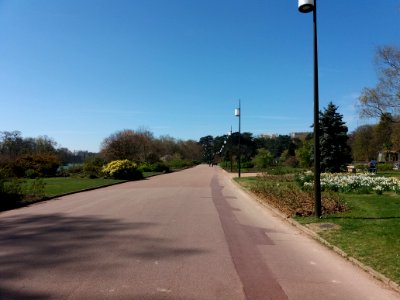 Lyon 6e - Parc de la Tête d'Or, allée du Lac, côté sud