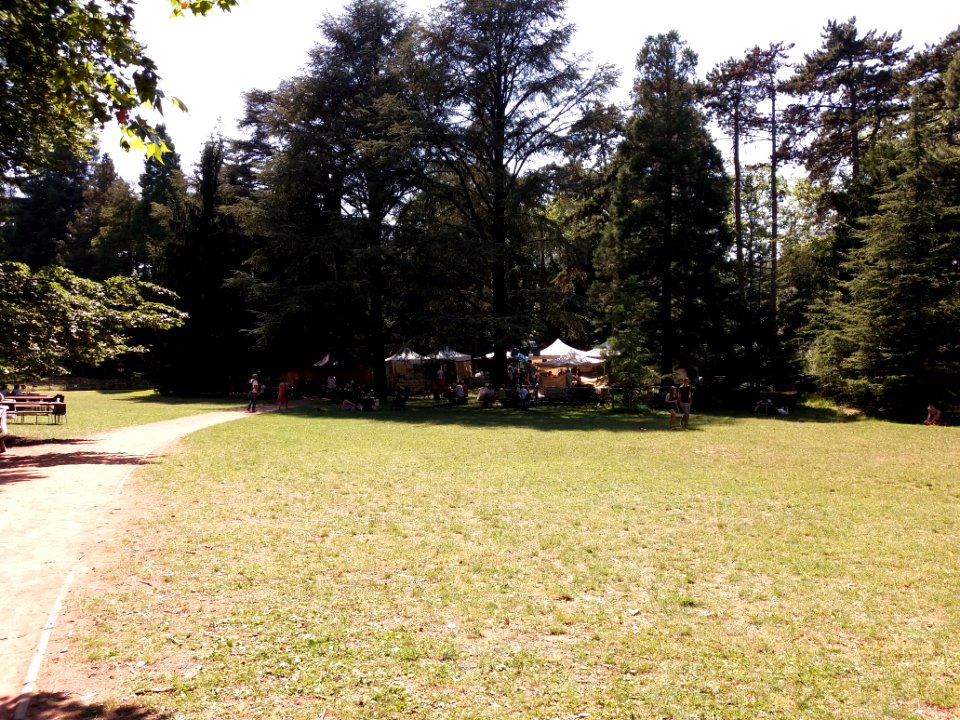 Lyon 6e - Parc de la Tête d'Or, dialogues en humanité 2019 (2)