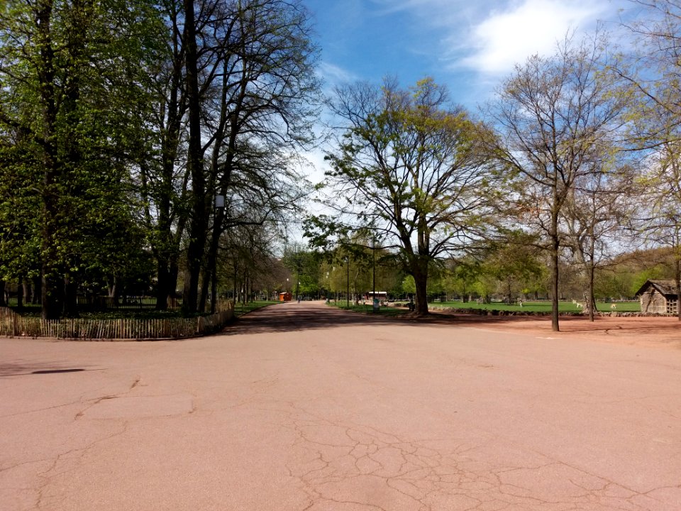 Lyon 6e - Parc de la Tête d'Or, allée de Ceinture, côté ouest depuis l'allée du Pré Fleuri