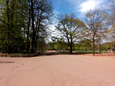 Lyon 6e - Parc de la Tête d'Or, allée de Ceinture, côté ouest depuis l'allée du Pré Fleuri