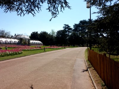 Lyon 6e - Parc de la Tête d'Or, allée du Pré Fleuri, côté sud en passant devant les serres de la roseraie