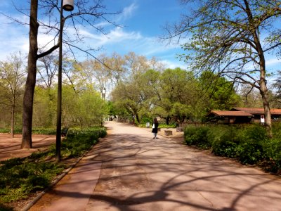 Lyon 6e - Parc de la Tête d'Or, allée de l'Île, en allant vers la Grande Île