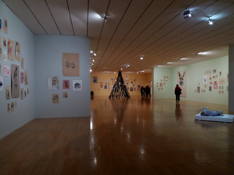 Lyon 6e - Musée d'art contemporain - Exposition Edi Dubien 03