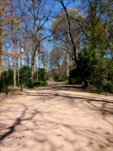 Lyon 6e - Parc de la Tête d'Or, allée du Chalet, côté nord en partant de l'allée du Grand Camp