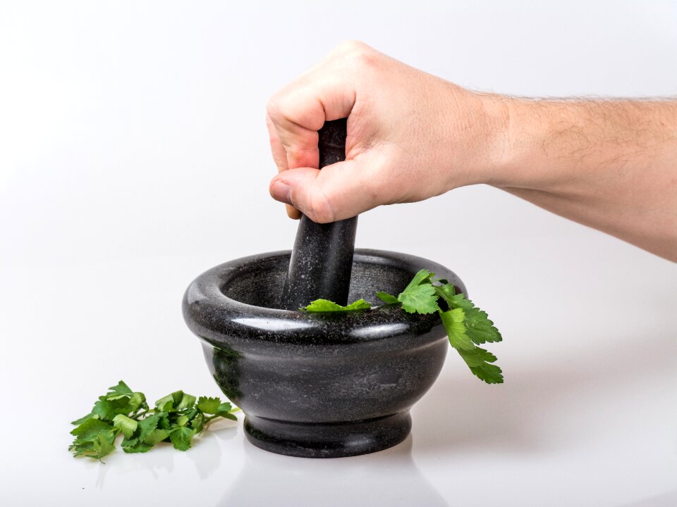 Bowl container leaves