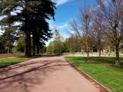 Lyon 6e - Parc de la Tête d'Or, allée de la Tête d'Or, côté nord depuis l'allée des Villas